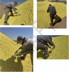 Product: Sulphur Granular. - Image 5