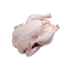 Frozen Chicken - Image 2