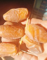 Premium Tunisian Deglet Nour (Kurma) Branched Dates (CAT 1) – Registered Brand | Secure Your Ramadan Stock Now! - Image 5