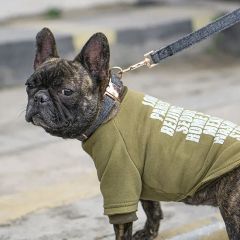 High Quality Woolen Dog Leash Custom Metal Chain Collar - Image 4