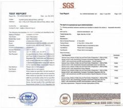 test report certificate from Yangjiang Honglin Industrial Co., Ltd.