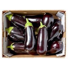 Black Eggplants Shape Uniform Quality Excellent Color Glossy Deep Black Packaging Professionally Packed Harvest Location Iran's Finest Farms - Image 2