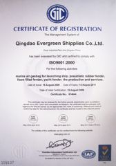 ISO Certificate certificate from Qingdao Evergreen Maritime Co., Ltd.
