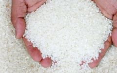 Vietnamese Short Grain Rice/Japonica rice Quality Export - Healthy and Delicious - Image 4
