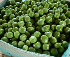 Dried PIGEON PEAS Export Quality | High-Quality Dried Pigeon Peas 1kg to 10kg Wholesale Supply - Image 2