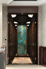 Factory Direct Sales Homes Passenger Elevator Price Persons <5 Origin China Model NO. 007 HS Code 842810 Speed <1.00m/s Capacity - Image 3