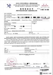 CIQ2 certificate from Inner Mongolia Mengxin Food Co., Ltd.