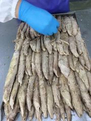 Frozen Precooked Skipjack Tuna Loin Type Fish Origin China HS Code 160414 Model NO. FF-33 Trademark DACHENG Process - Image 3