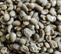 Arabica Gayo Green Beans Full Wash – product photo 1, product detail gallery
