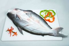 Hot Summer Season Frozen Pangasius Butterfly Competitive Price - Image 3