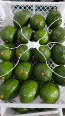 Fruits and vegetables - Image 2
