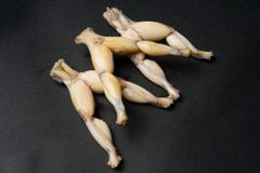Frozen Frog Legs Form Frozen Species Rana Sp, Pelophylax Kl. Esculentus, Fejervarya - Image 1