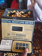 Maize Corn – product photo 3, product detail gallery