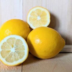 lemon | lime – product photo 1, product detail gallery