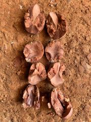 Shea Nut – product photo 2, product detail gallery