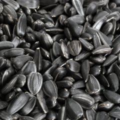 Sunflower Seed Oil - Image 2