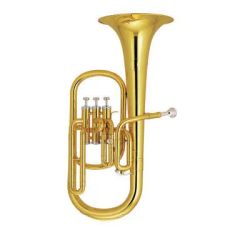Alto Horn Eb Key/ Brass Instrument/Alto Horn Brand OEM Age Adults Bell 205mm Color Gold Bore 11.8mm Trademark OEM Case Foambody - Image 1