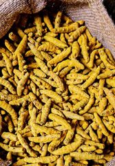 TURMERIC FINGER IPM - Image 3