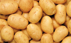 Fresh Potato – product photo 1, product detail gallery