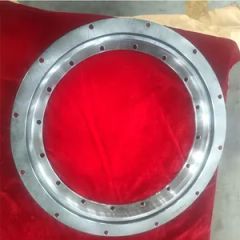 230.20.0900.013 Slewing Ring Bearing 1048mm 834mm P5P4P2 53.1kg 1Y - Luoyang LYDZ Bearing Co., Ltd.