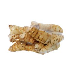 Galangal Fresh Vegetables other Food Health Care Products Best Selling Product from Thailand - Image 1