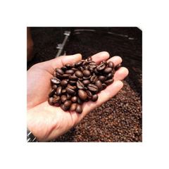 Coffee Beans cheap price bulk supply wholesale fast delivery – product photo 2, product detail gallery