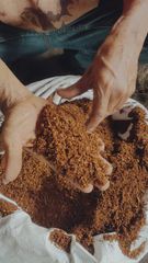 Cocopeat Bulk - Image 1