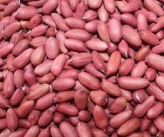 G.nuts - Image 1