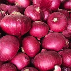 Onion - Image 1