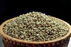 Arabica and Robusta Coffee available for export - Image 2