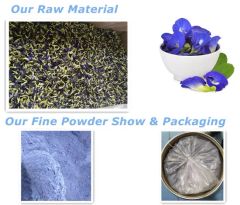 Blue Butterfly Pea Flower Powder Food Grade 98% XAQA 2Y Form Powder State Powder Trademark XAQA Grade Food Grade Color Blue Powder - Image 2