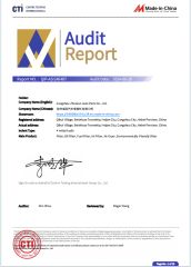Made-in-China certificate of Cangzhou Zhuorun Auto Parts Co., Ltd. – certificate photo, supplier certificates section