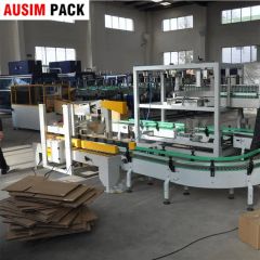 Automatic Low Cost Case Packer Carton Case Packing Machine - Image 3