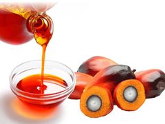 Crude Palm Oil, CP8, CP10 Packaging 20L - Image 1