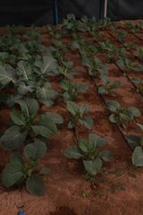 Company – thumbnail 4 of 11, supplier detail gallery