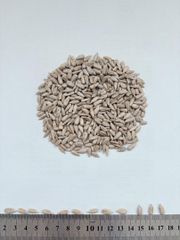 Sunflower kernels confectionery  Grade Confection Manufacturer Agimax Bulgaria Packaging Big Bags/Paper - Image 2