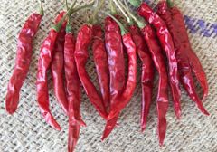 Red chilli – product photo 5, product detail gallery