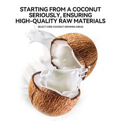 Wholesale cheap fresh coconut meat extracted from highly concentrated coconut milk - Image 6