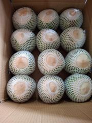 Fresh Coconut _ Fresh unpeeled coconut – product photo 2, product detail gallery