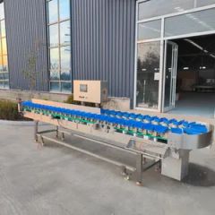 Stainless Steel Fruit Roller Sorting Machine - Image 1