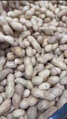 Food & Beverage - Fresh Peanuts - Image 2