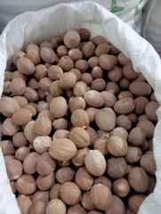 Nutmeg Grade AB - Image 1