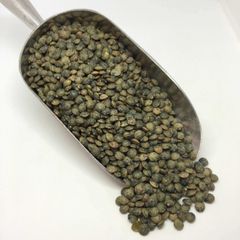 Fresh Green lentils rich in nutrients perfect for daily consumption Green lentils sourced from trusted suppliers for bulk - Image 5