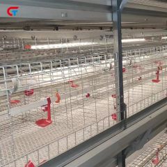 Factory Price H Type Layered Chicken Farm Automatic Poultry Cages - Image 2