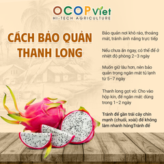Thanh long ruột trắng - White Flesh Dragon Fruit - Image 2