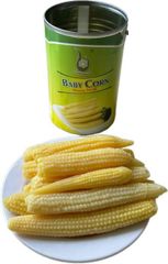 2025 High Quality Canned Young Babycorn Preserved in Brine 425g Sweet Corn in Water - Image 5