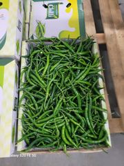 G4 Green chilly - Image 2