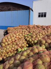 Deionized Apple Juice Concentrate Aroma Natural Color Neutral Brix Level 70+ Appearance Clear Acidity Balanced Brix Content Uniform - Image 5