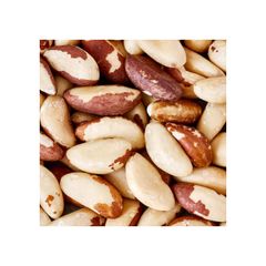 Trusted Brazil Exporter  Multi frozenchickenexports.com - Image 5