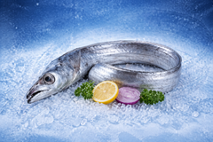 Frozen Ribbonfish (Whole / Hairtail) exported from India, - Image 1